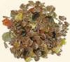 SUKCES MUSLI SPORT 25 kg