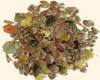 SUKCES MUSLI HODOWLANE 25 kg 