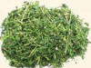 Sukces Sieczka z lucerny 10 kg 